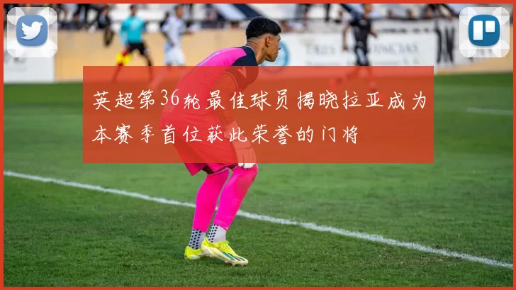 英超第36轮最佳球员揭晓拉亚成为本赛季首位获此荣誉的门将