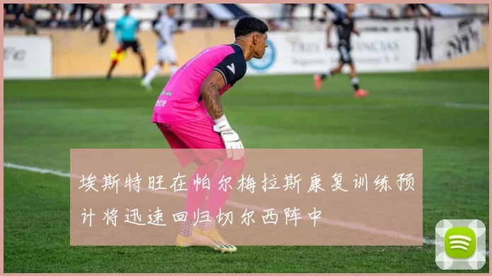 埃斯特旺在帕尔梅拉斯康复训练预计将迅速回归切尔西阵中